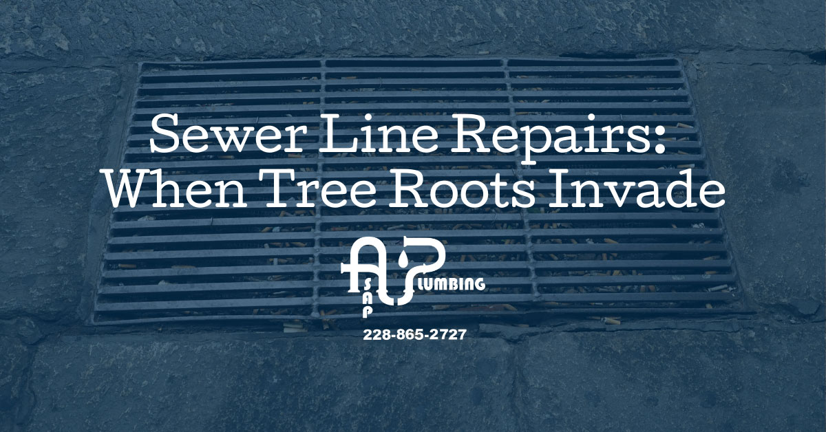 Sewer Line Repairs: When Tree Roots Invade